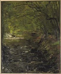 Ein Waldbach
