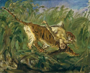 Tiger im Dschungel
