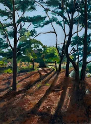 Waldweg mit langen Schatten