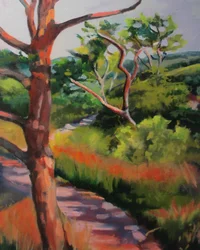 Sonniger Waldweg