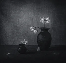 Verblassendes Blumenstillleben