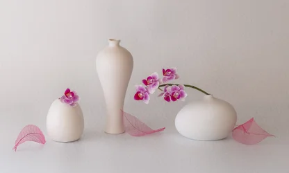 Stillleben mit rosa Orchideen