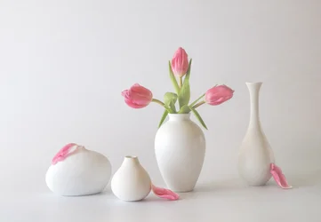 Rosa Tulpen in Vasen