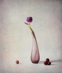 Stillleben mit violetter Tulpe