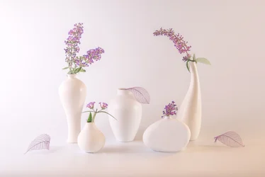 Weiße Vasen mit Lavendelblüten