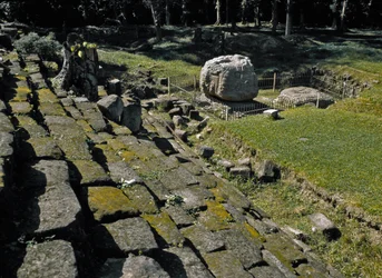 Zoomorpher Altar P