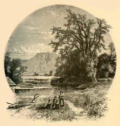 Northampton Meadows, 1874