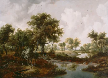 Eine bewaldete Landschaft