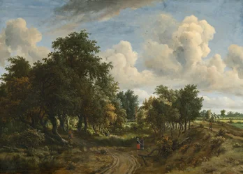 Eine bewaldete Landschaft