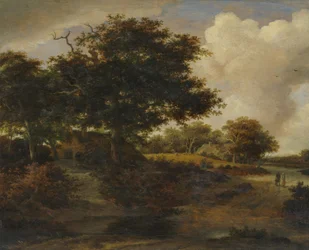 Waldlandschaft