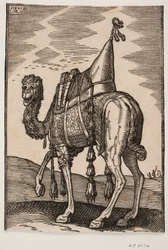 Ein gesatteltes Kamel