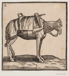 Ein gesatteltes Tragepferd