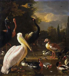 Ein Pelikan und andere Vögel in der Nähe eines Teiches, bekannt als 