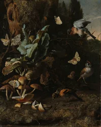 Tiere und Pflanzen