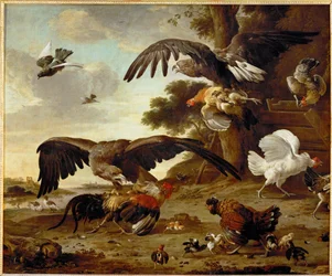 Adler greifen Hühner an