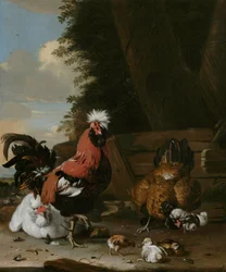 Ein Bantam-Hahn mit Hennen und Küken in einem Bauernhof