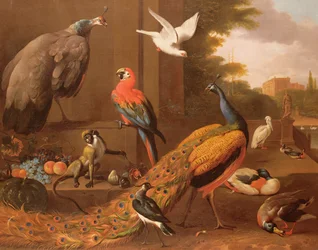 Vögel in einer Landschaft