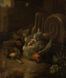 Tote Vögel