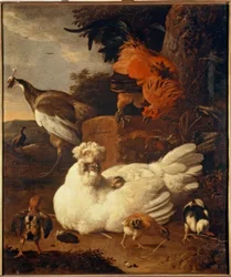 Glucke mit Küken