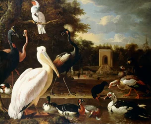Viele verschiedene Vogelarten an einem Teich in einem Park