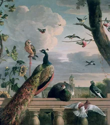 Palast von Amsterdam mit exotischen Vögeln