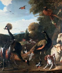 Pfauen und andere Vögel mit einem Schaf und einem Hund in einer Landschaft