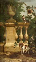 Tauben und ein Hund in einem Garten