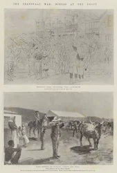 Der Transvaal-Krieg, Szenen an der Front