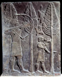 Vogeljagdszene (Relief aus Alabaster aus dem Palast von Sargon II., König von Assyrien, Khorsabad, Mesopotamien)
