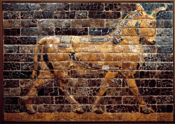 Mesopotamien: „Stier in Bewegung“. Emaillierte Ziegel vom Ischtar-Tor. Babylon (Irak) zur Zeit König Nebukadnezars II. Irakisches Nationalmuseum, Irak