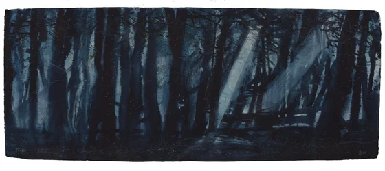 Mondbeschienene Wälder