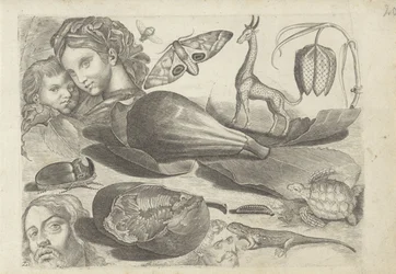 Studieblatt mit Zeichenbeispielen: Köpfe, Tiere und Früchte