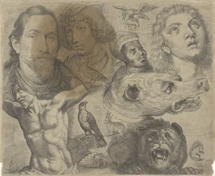 Studienblatt mit Zeichenbeispielen: Köpfe, Torso und Tiere