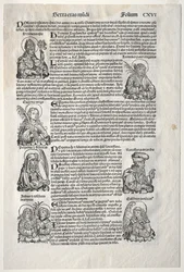 Nürnberger Chronik, 1493