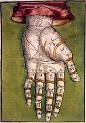 Die linke Hand