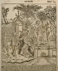 Adam und Eva, Illustration aus dem 