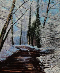 Schneeweg