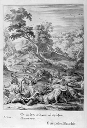 Actaeon wird in einen Hirsch verwandelt und von seinen Hunden verschlungen