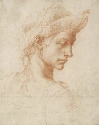 Idealkopf, ca. 1518-20