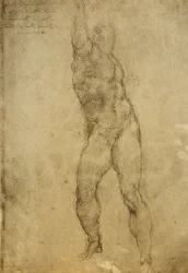 Aktstudie, Zeichnung von Michelangelo. Gallerie dell
