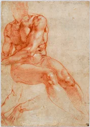 Sitzender junger männlicher Akt und zwei Armstudien, ca. 1510-1511