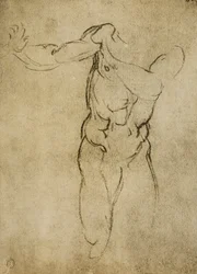 Studie für eine männliche Büste, Zeichnung von Michelangelo. Casa Buonarroti, Florenz