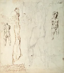 Studie des Christuskindes und eine anatomische Zeichnung mit Notizen (Schwarzkreide und braune Tinte auf Papier) (verso)