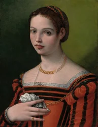 Porträt einer Dame, 1550-60