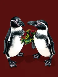 Jubiläumspinguine auf Rotoxid, 2020