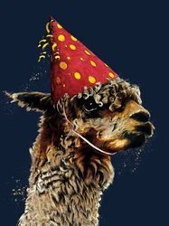 Geburtstag Alpaka auf Mitternachtsblau, 2020