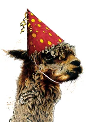 Geburtstags-Alpaka auf Weiß, 2020