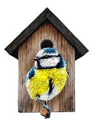 Neues Zuhause Blaumeise auf Weiß, 2020