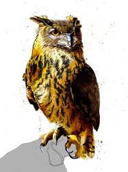 Der Uhu auf Weiß, 2019