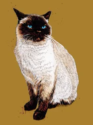 Die Siamkatze auf Goldgelb, 2020